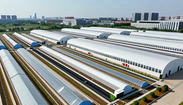 康复理疗服务在成本控制中的实际应用分析